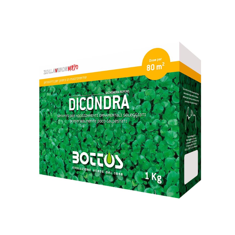 Dichondra Sementi Per Prato - Bottos